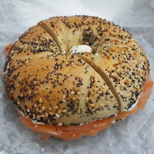 absolute bagels 500x500