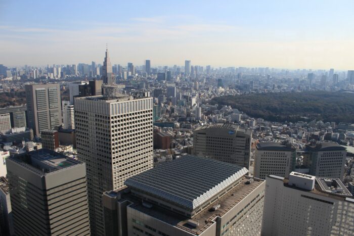 view from tokyo government building 700x467