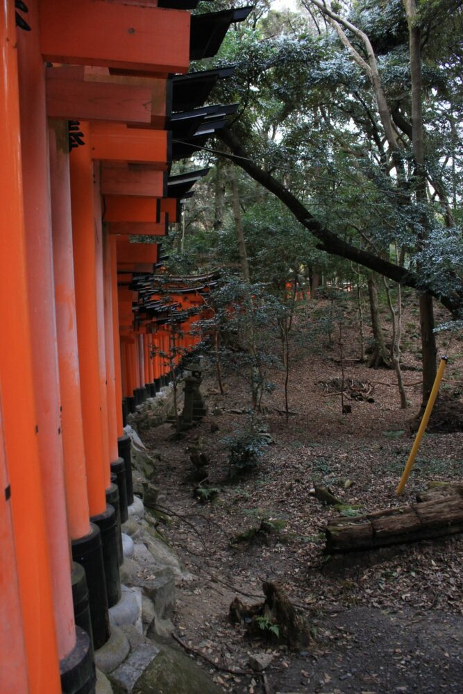 fushimi inari shrine gates 667x1000