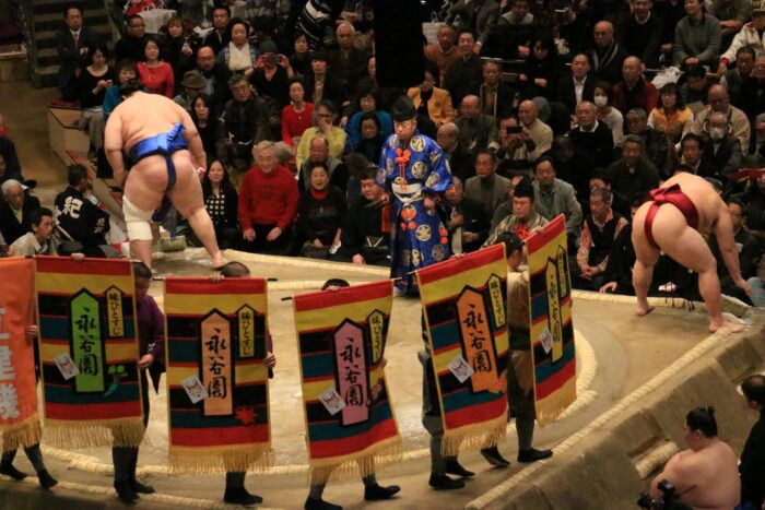 sumo banners 700x467