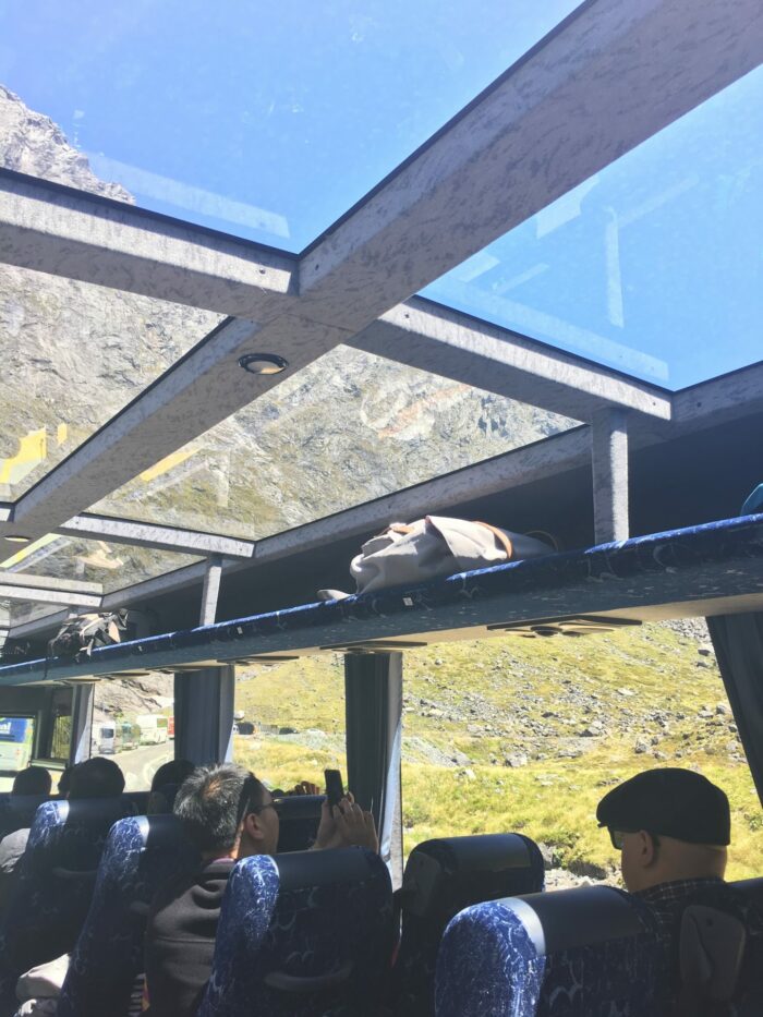 glass roofed bus new zealand 700x933