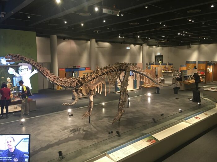 hong kong science museum dinosaur 700x525