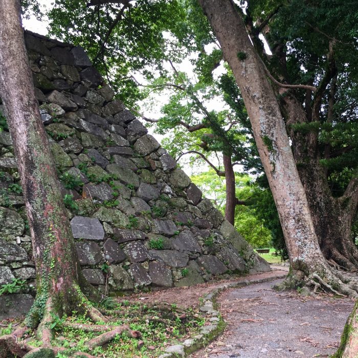 fukuoka castle park 700x700