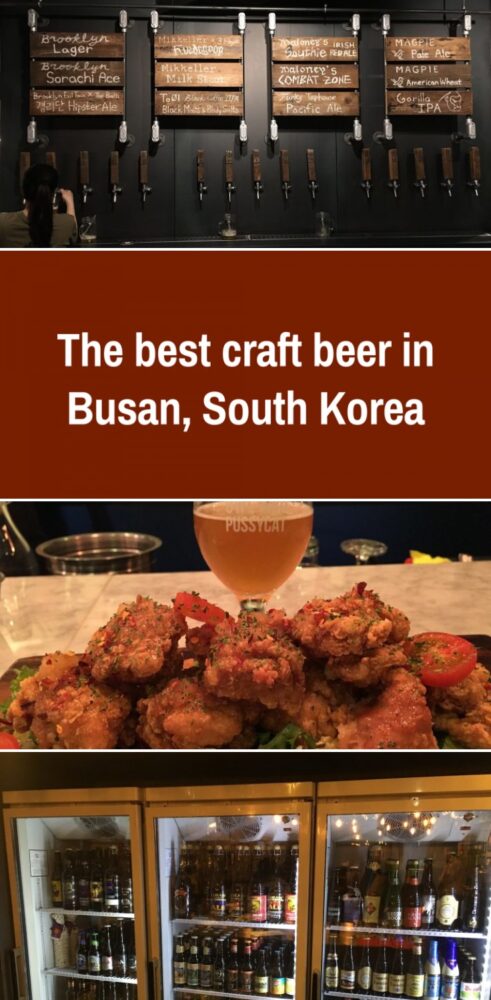 best craft beer in busan south korea 491x1000