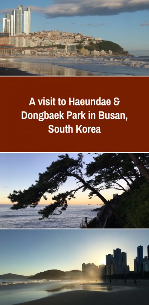 haeundae dongbaek park busan south korea 491x1000