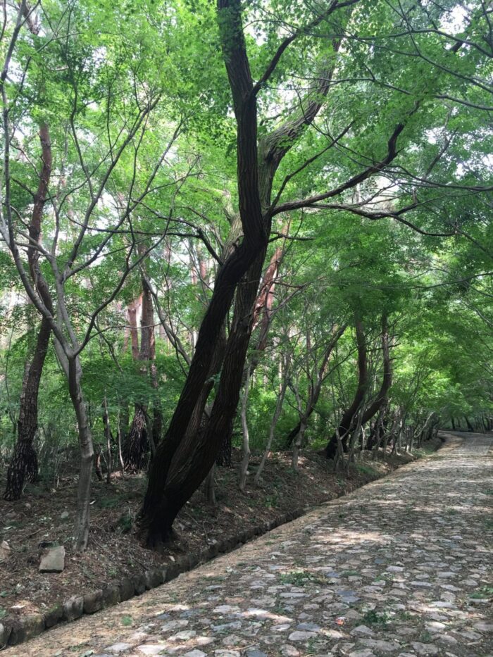 seokguram grotto hike path 700x933