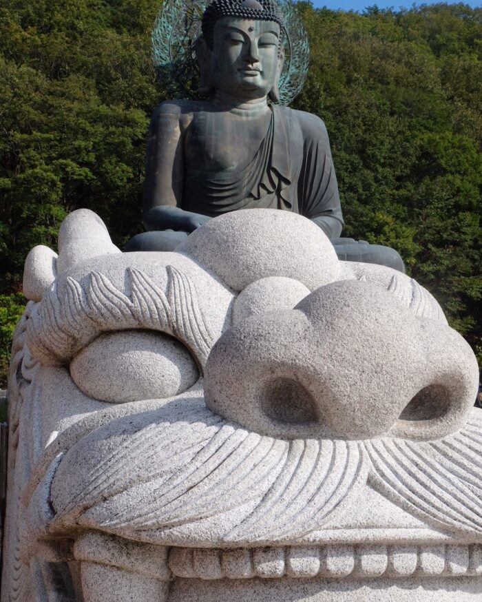 stone dragon metal buddha seoraksan national park 700x874