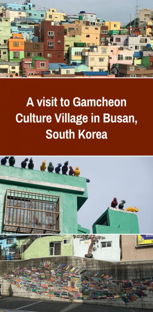 a visit to gamcheon culture village in busan south korea 491x1000
