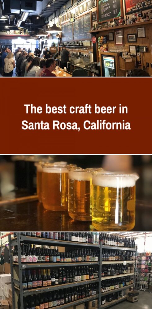 the best craft beer in santa rosa california 491x1000
