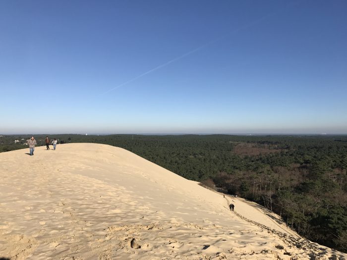 dune du pilat forest 700x525