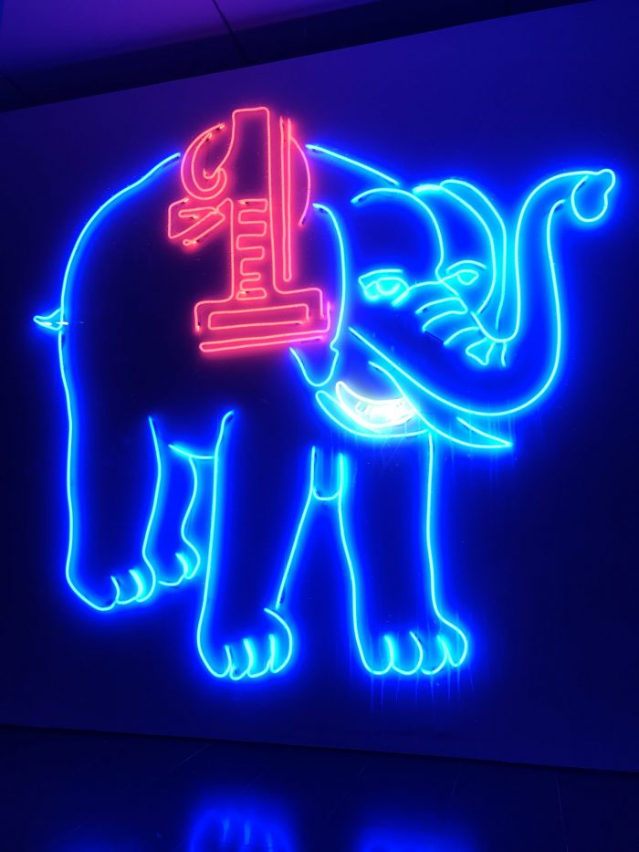 macba neon elephant 700x933