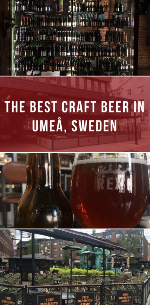 the best craft beer in umea sweden 491x1000