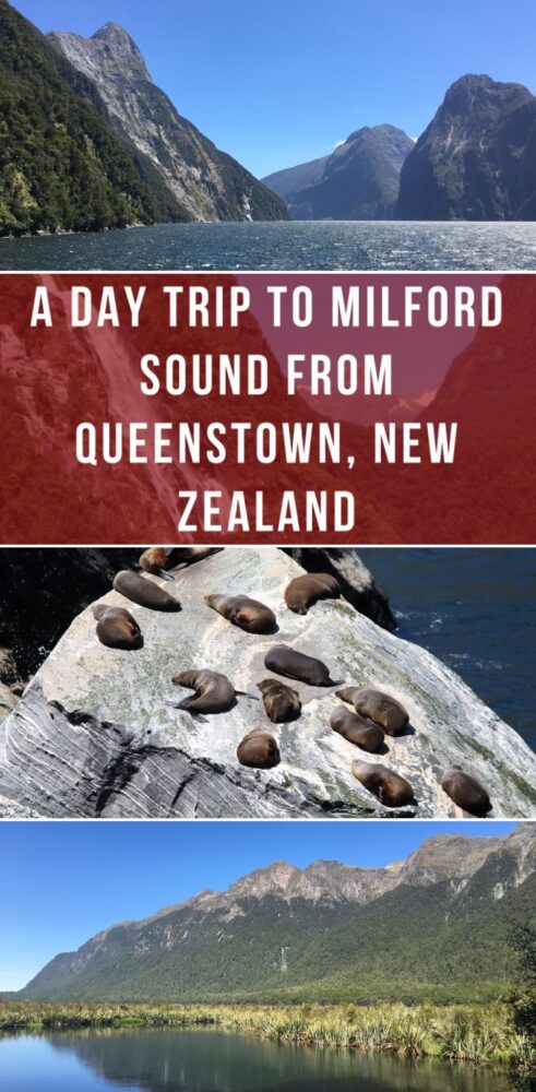a day trip to milford sound from queenstown new zealand 491x1000