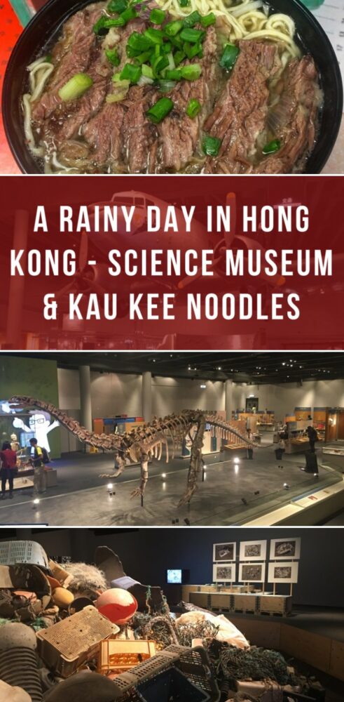 a rainy day in hong kong science museum kau kee noodles 491x1000