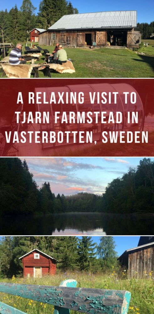 a relaxing visit to tjarn farmstead in vasterbotten sweden 491x1000