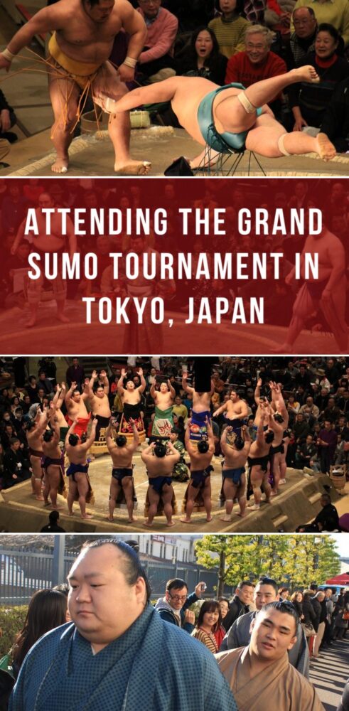 attending the grand sumo tournament in tokyo japan 491x1000