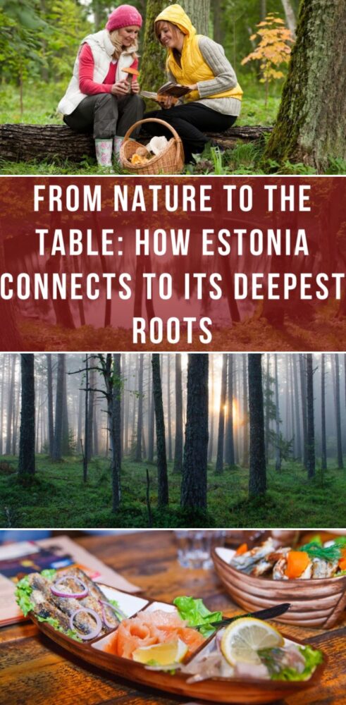 from nature to the table how estonia connects to its deepest roots 491x1000