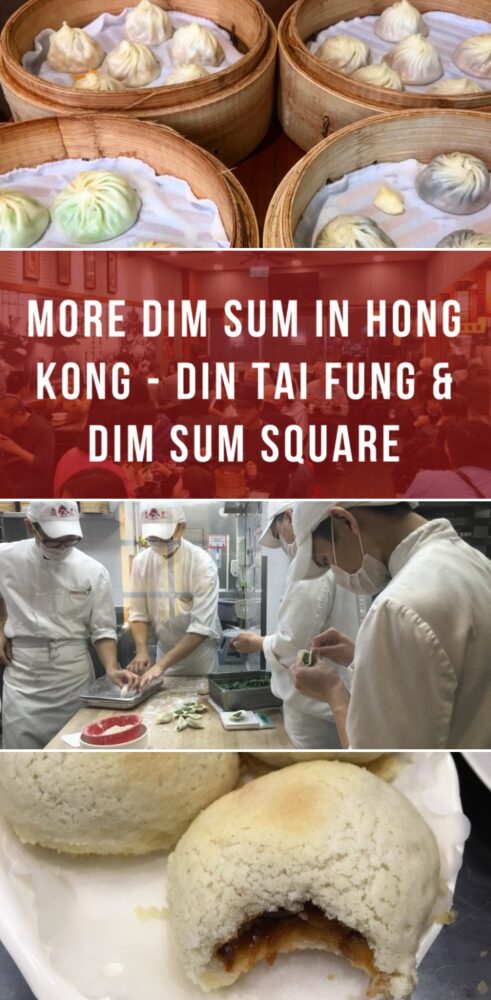 more dim sum in hong kong din tai fung dim sum square 491x1000