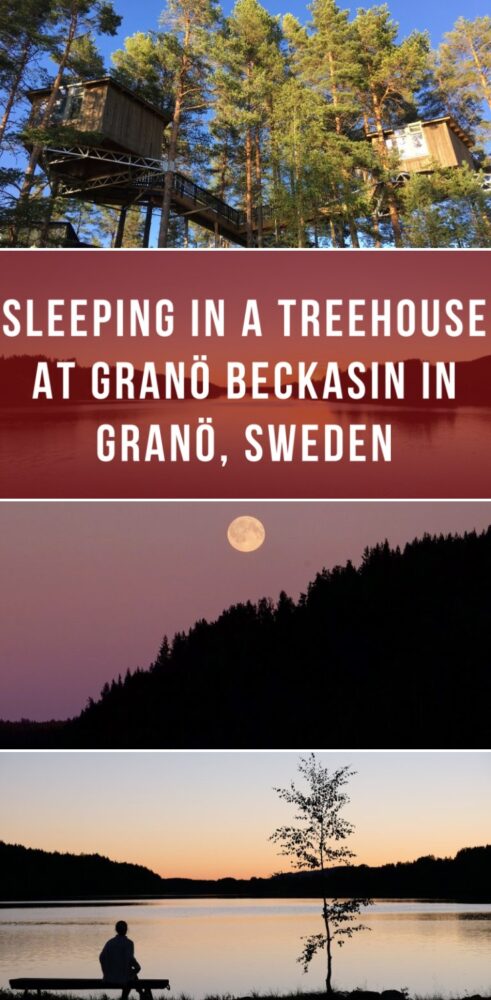 sleeping in a treehouse at grano beckasin in grano sweden 491x1000