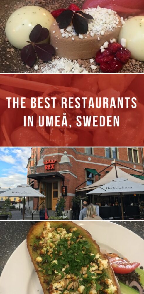 the best restaurants in umea sweden 491x1000