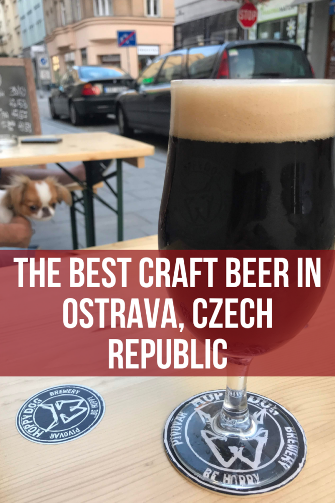 the best craft beer in ostrava czech republic 667x1000