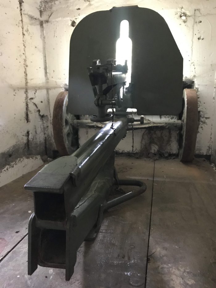 demarcation line museum bunker gun 700x933