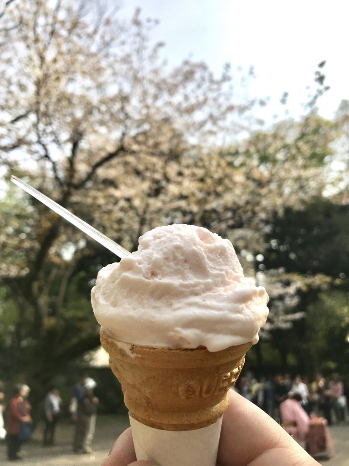 rikugien garden cherry blossom ice cream 700x933