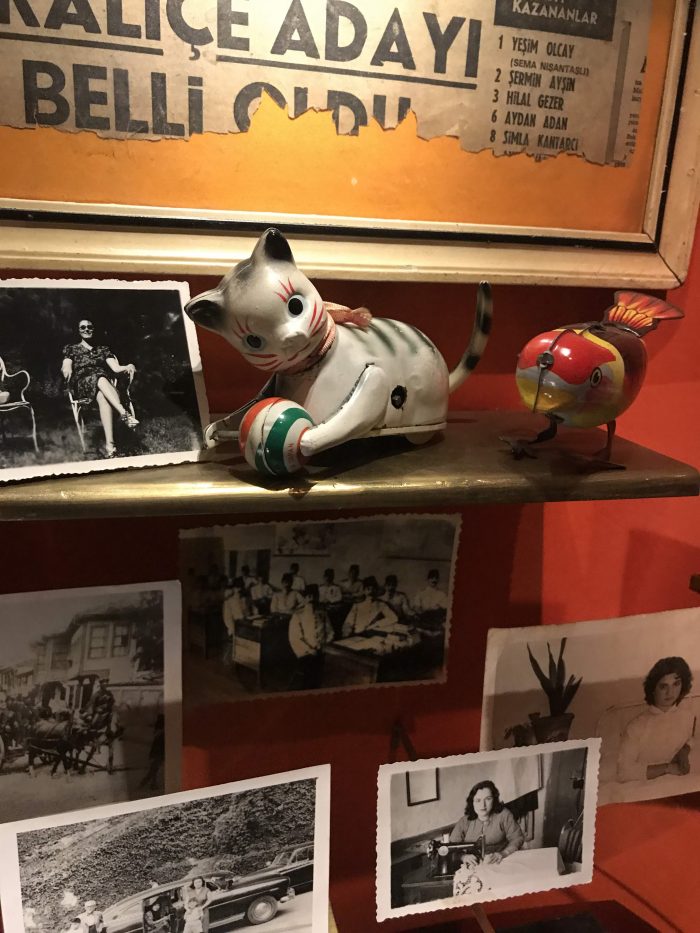museum of innocence istanbul cats photos 700x933