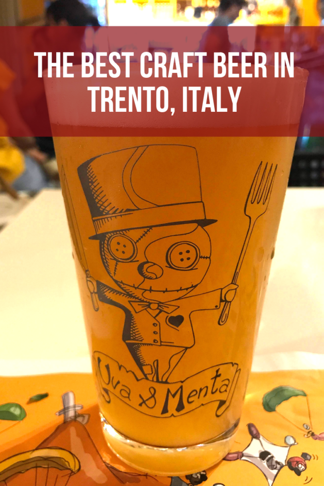 the best craft beer in trento italy 667x1000