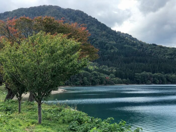 lake tazawa trees 700x525