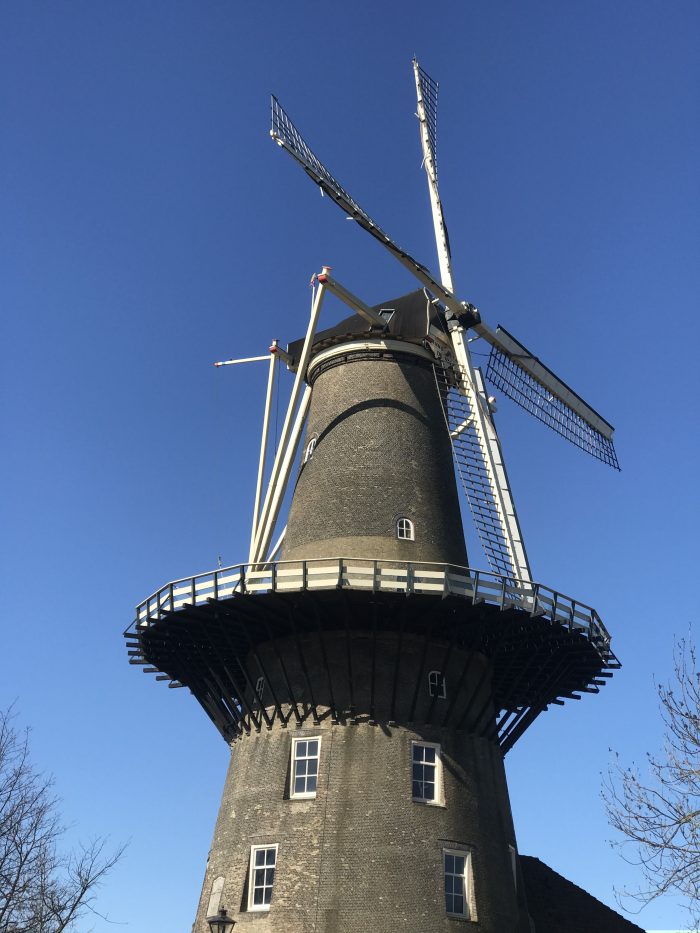 leiden windmill 700x933