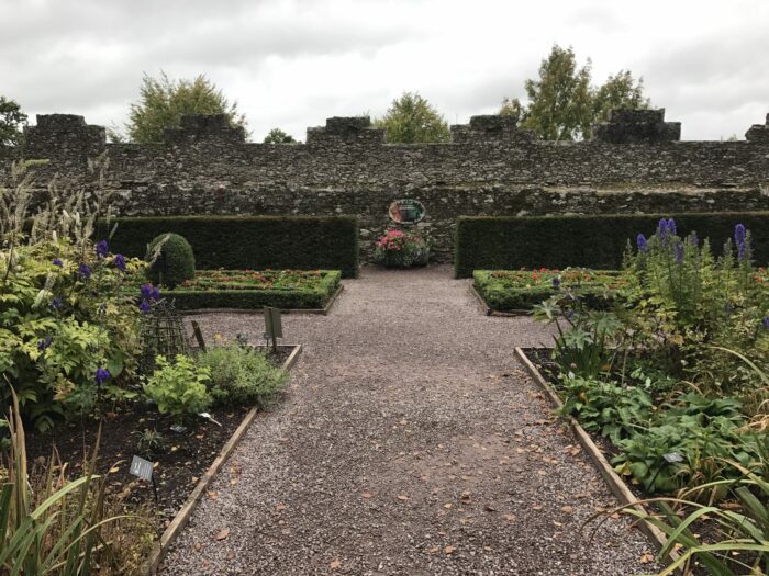 blarney castle poison gardens 700x525