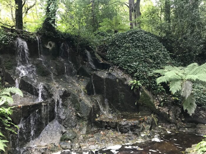 fern garden waterfall 700x525
