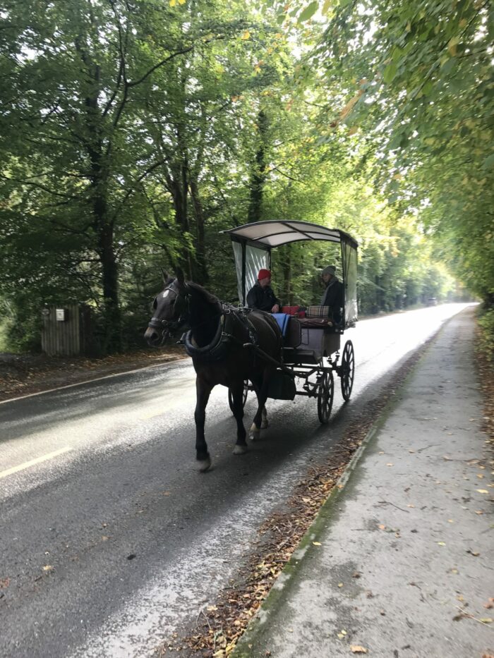 jaunting car killarney horse cart ross castle 700x933