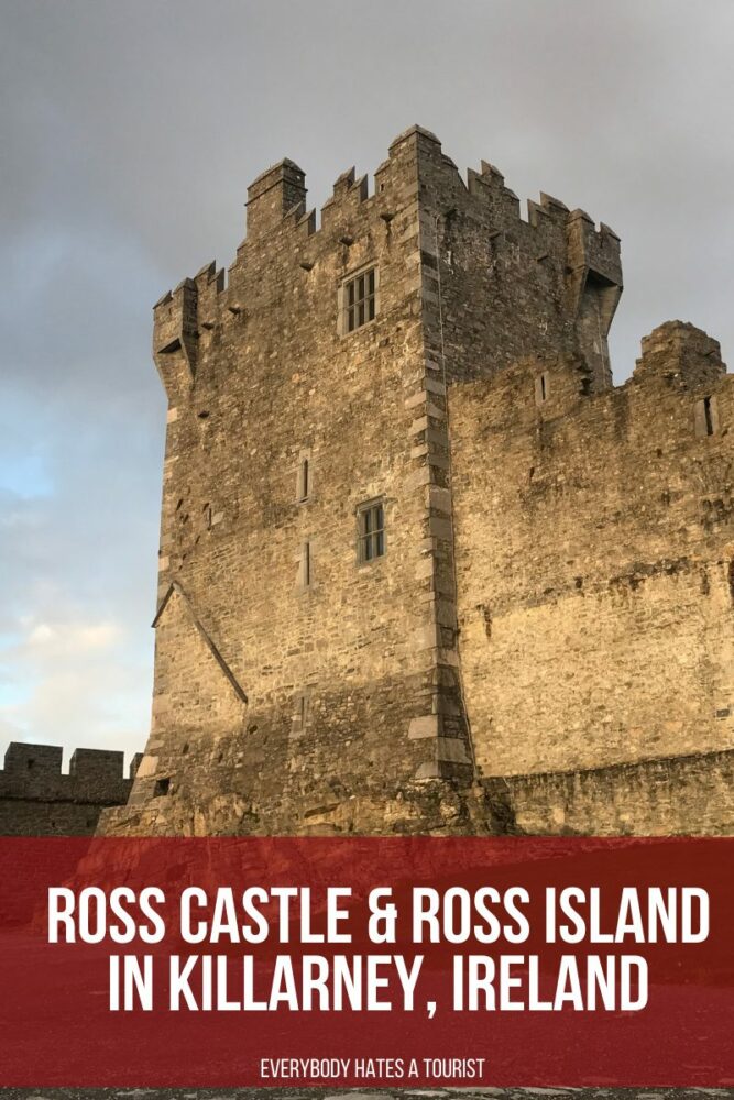 ross castle ross island in killarney ireland 667x1000