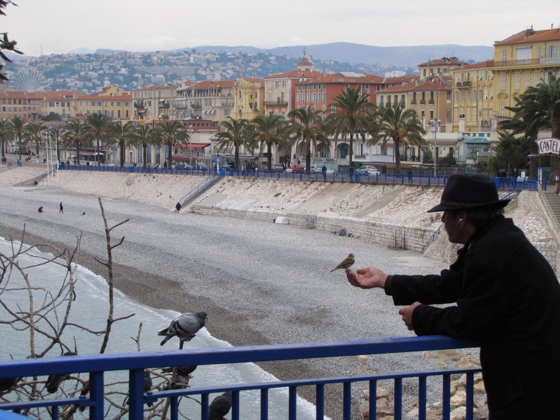 old man feeding birds in nice - Exploring Nice, France and Nice to Rimini, Italy by Train