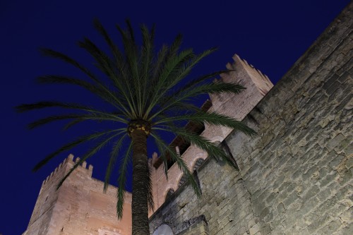 royal palace of la almudaina 500x333 - Top 10 things to do in Palma de Mallorca, Spain