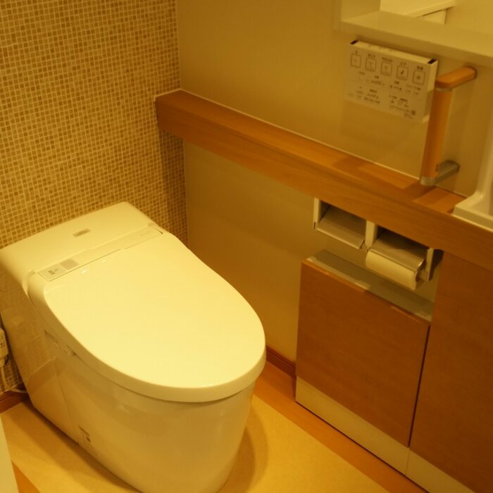 toto toilet showroom shinjuku 700x700 - Exploring the toilets, arcades, & Robot Restaurant in Shinjuku + ramen in Golden Gai - Tokyo, Japan