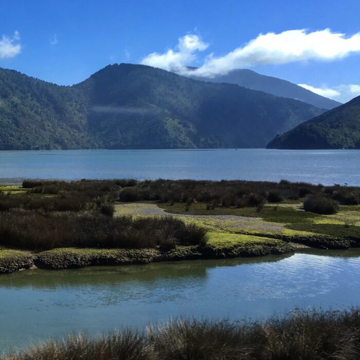 havelock pelorus river mahau sound 700x700 - Nelson to Wellington, New Zealand by bus and ferry via Picton