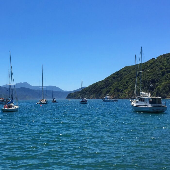 picton harbour 700x700 - Nelson to Wellington, New Zealand by bus and ferry via Picton