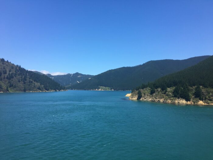 queen charlotte sound 700x525 - Nelson to Wellington, New Zealand by Bus and Ferry via Picton