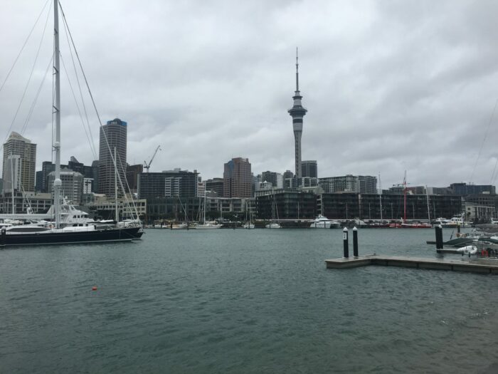 auckland skyline 700x525 - A rainy New Year’s Day at the Auckland War Memorial Museum