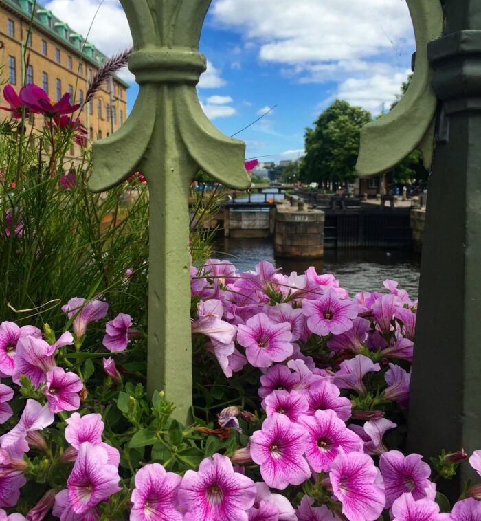 gothenburg canals flowers 700x758 - Slottsskogen & the Gothenburg City Center