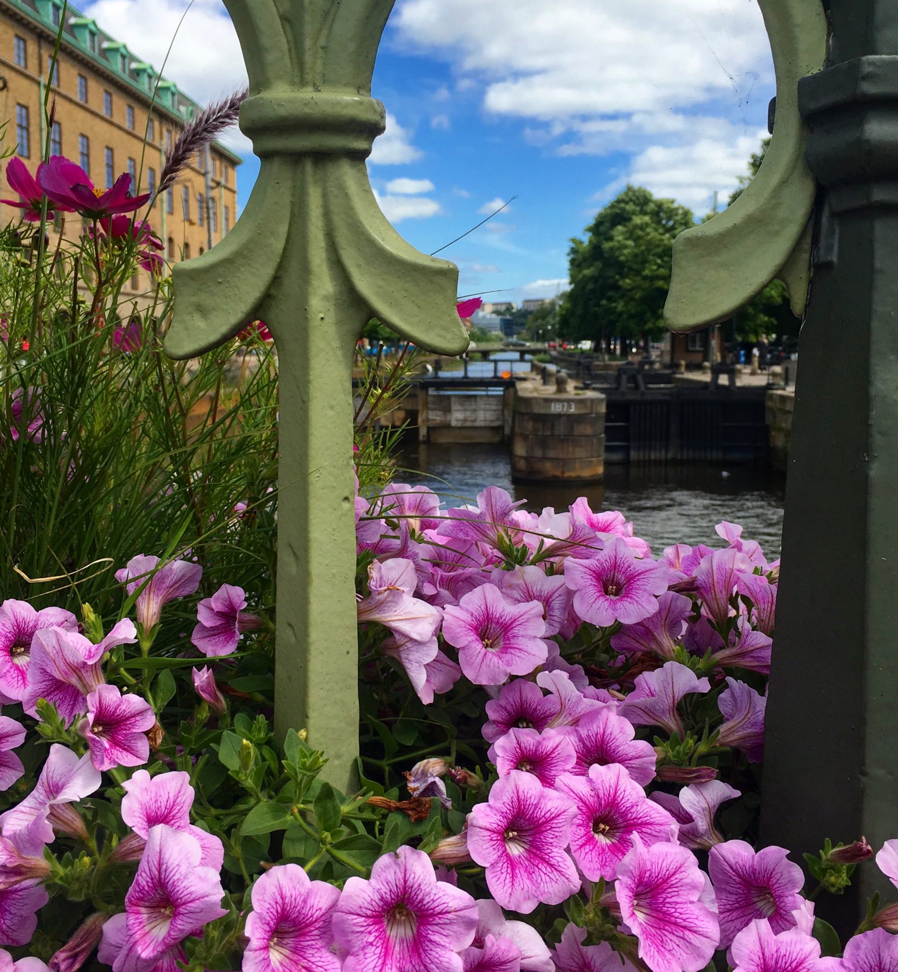 gothenburg canals flowers - Slottsskogen & the Gothenburg City Center