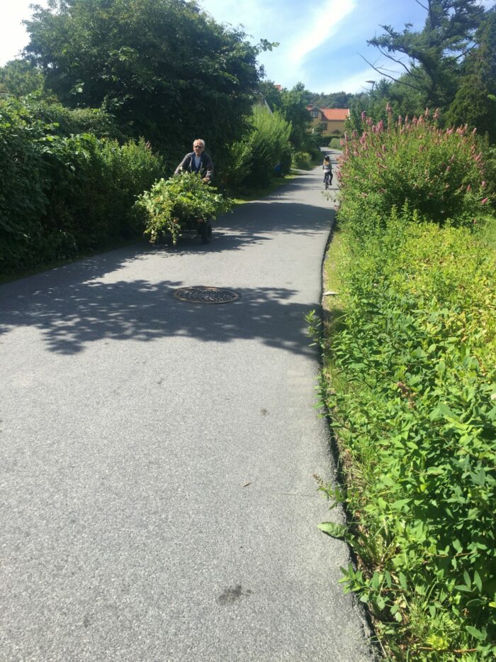 styrso bike paths 700x933 - Southern Archipelago Day Trip from Gothenburg