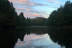 A trip to northern Sweden – Umeå & Vasterbotten – Introduction