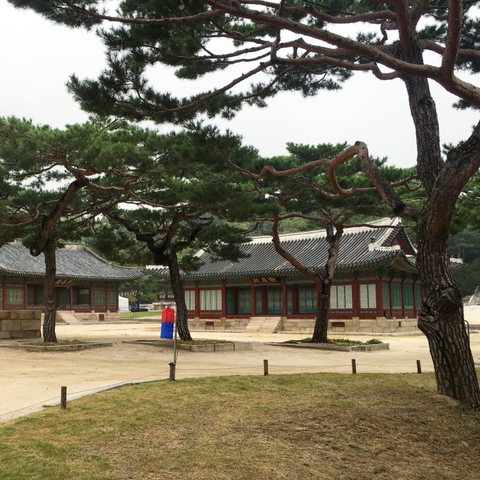 changgyonggung palace 700x700 - A visit to the Five Grand Palaces of Seoul, South Korea