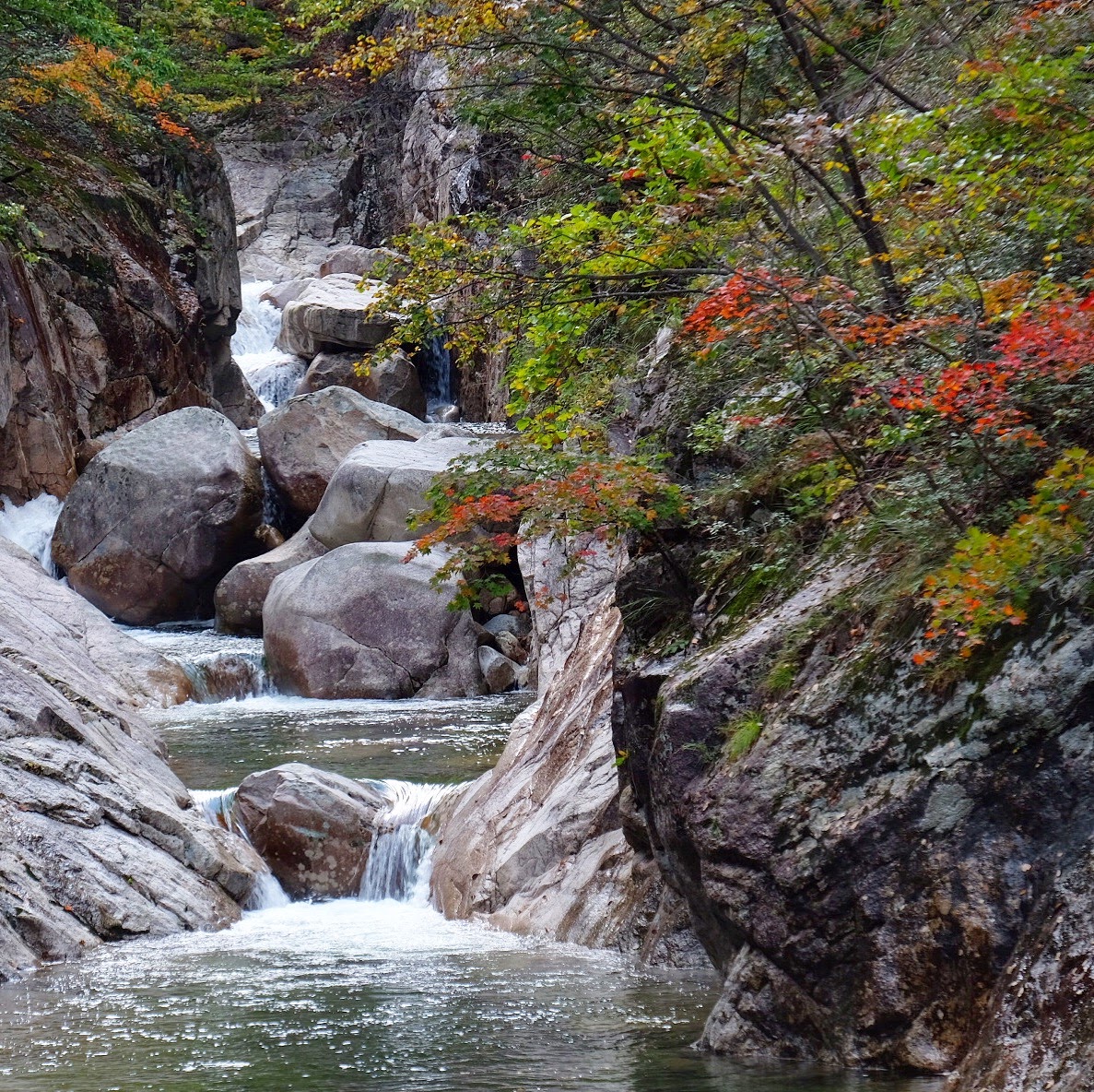 seoraksan national park hiking autumn leaves river - Hiking in Seoraksan National Park - Biseondae