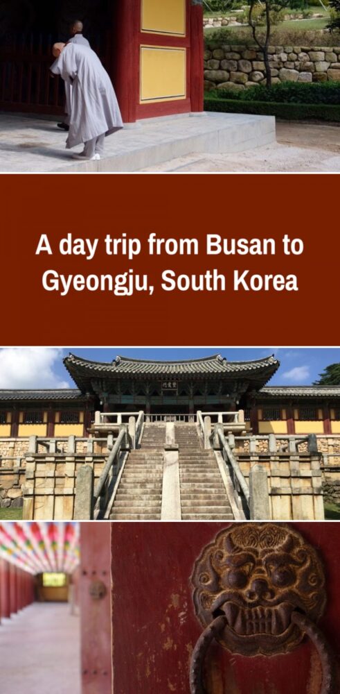 a day trip from busan to gyeongju south korea 491x1000 - A day trip from Busan to Gyeongju, South Korea