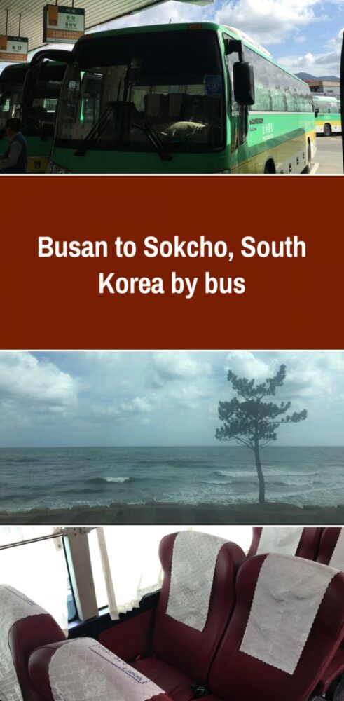 busan to sokcho south korea by bus 491x1000 - Busan to Sokcho, South Korea by bus